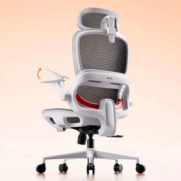 Sihoo chaise de bureau ergonomique en mesh